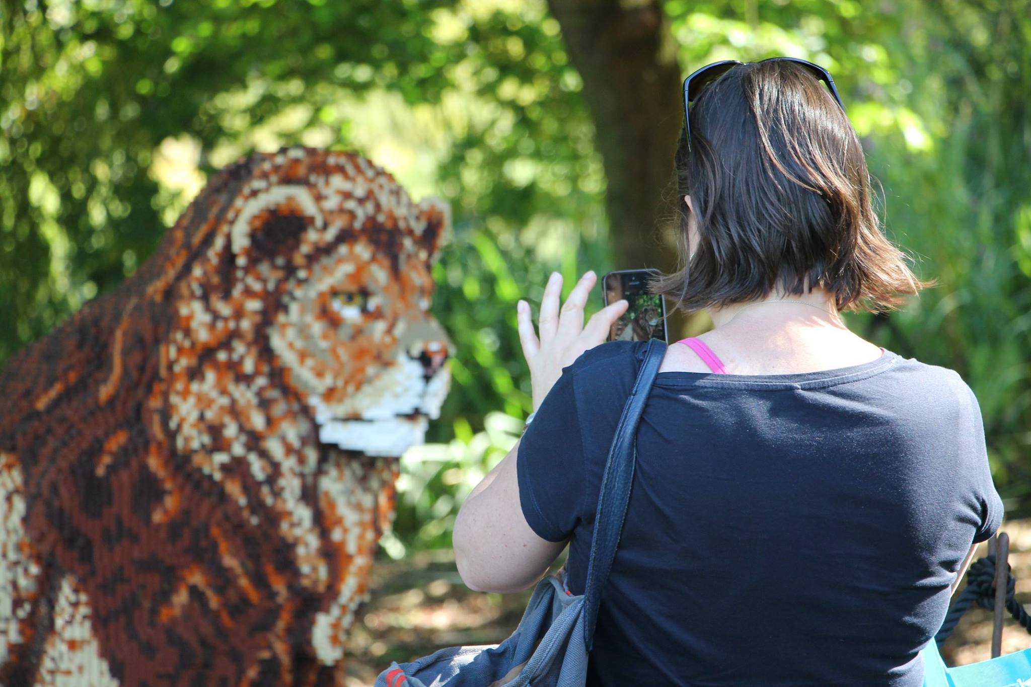 43019913 2278350662178427 814189739052630016 N