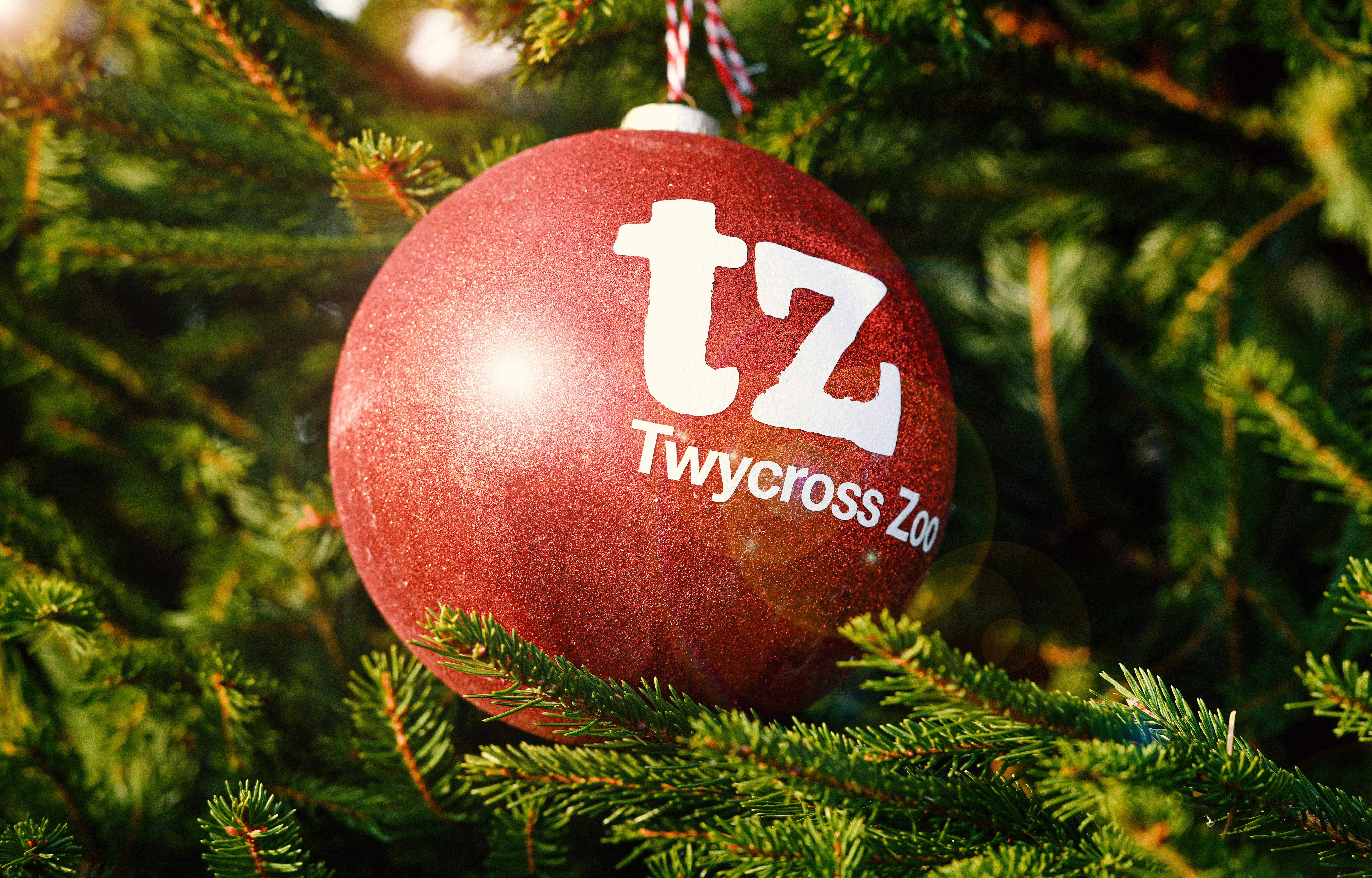 Twycross Zoo Christmas Bauble