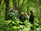 06.2026 Hazel Dormouse Reintorduction 6