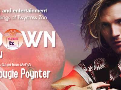 NEW70154 TZ Summer Sundown Desktop Website Banner 2650X1024px Scaled