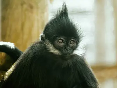 Pg 000182800 Dxo Scaled E1676300661686